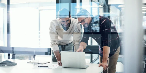 Two professional men working in office